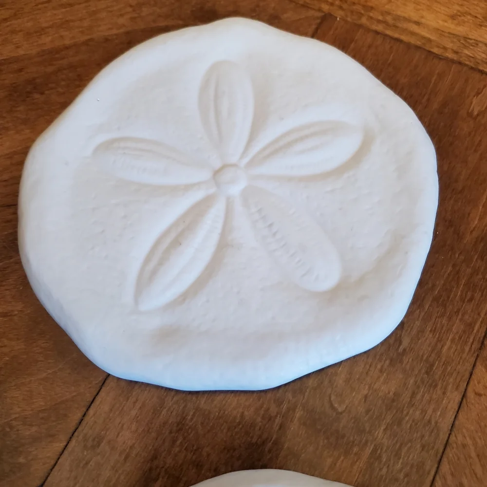 Kohls sand dollar